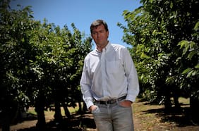 Mister Prize: la meteórica historia de un exportador de cerezas que llegará al Nasdaq