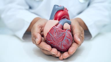El examen de sangre que puede predecir enfermedades cardiovasculares con 15 años de antelación, según un estudio