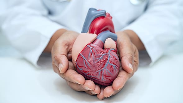 4 puntos esenciales que debes saber sobre las enfermedades cardiovasculares, según un cardiólogo