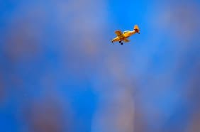 O’Higgins: declaran alerta amarilla en Lolol por incendio forestal cercano a sectores habitados