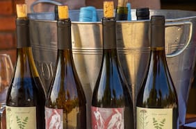 Escápate a brindar en la Fiesta de la Vendimia del valle de San Antonio