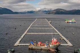 El crecimiento de Magallanes en peligro