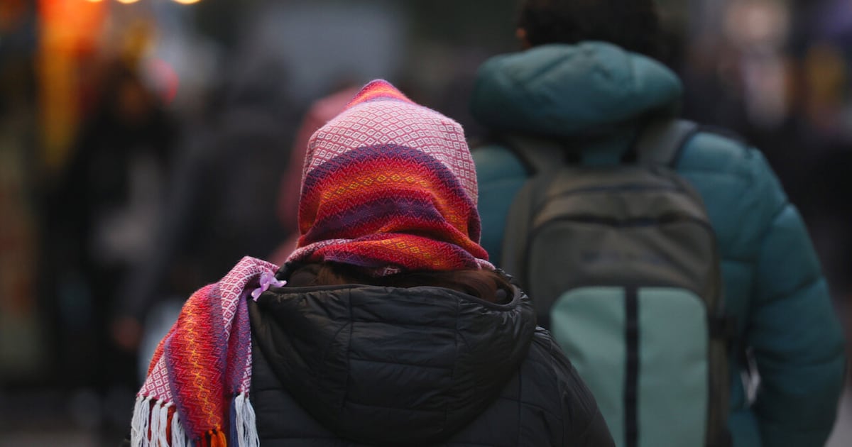 Heladas en La Araucanía: un fenómeno recurrente que desnuda brechas sociales y territoriales