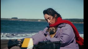 Triunfo chileno en el Festival de Cannes: perrita rescatada gana el prestigioso premio Palm Dog