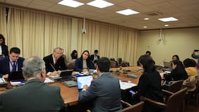 Comisión de Familia aprueba en general proyecto que prohíbe y sanciona la maternidad subrogada