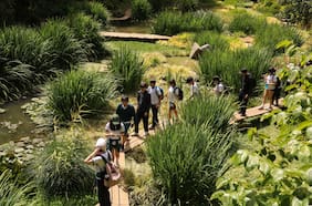 Aula Tricao: La apuesta por una educación integral enfocada en el bienestar y la conexión con la naturaleza