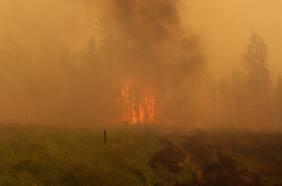 Senapred solicita evacuar sector Cementerio en comuna de Puerto Montt por incendio forestal