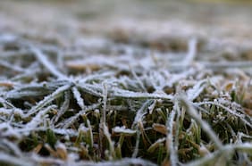 Activan código azul en regiones Metropolitana y de O’Higgins para este domingo