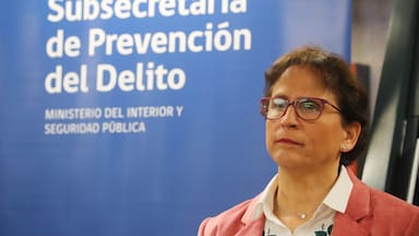 El “gallito” judicial del gobierno que pone en jaque destino de mil cámaras de seguridad en 66 comunas del país