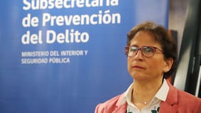 Leitao por banda que operaba en San Vicente de Tagua Tagua: “Lo más importante es detener a estas personas y condenarlas”