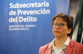Subsecretaria Leitao por Ley de Seguridad Municipal: “Estamos haciendo todos los esfuerzos para despachar prontamente este proyecto”