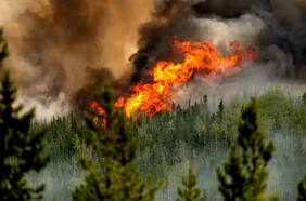 Tormentas eléctricas provocan más de 100 incendios forestales en Canadá