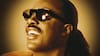 Stevie Wonder: el mapa y el territorio