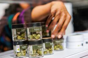 En histórico giro, EE.UU. reclasificará la marihuana como una droga menos peligrosa