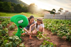 Bci refuerza su oferta de productos verdes para impulsar la sostenibilidad