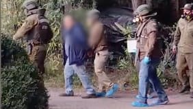 Detienen a sujeto por maltrato animal en Caracautín: tenía 19 perros y gatos con signos de desnutrición