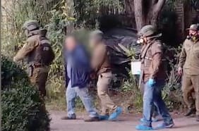 Detienen a sujeto por maltrato animal en Caracautín: tenía 19 perros y gatos con signos de desnutrición