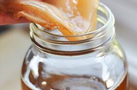 Kombucha | Secretos y bondades del hongo del té