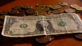 Dólar muestra sube después de una semana de fuertes descensos