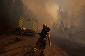 ¿Responsabilidad empresarial?: Investigan falla eléctrica como posible causante de megaincendio en Santa Juana y fiscal nacional viaja a la zona