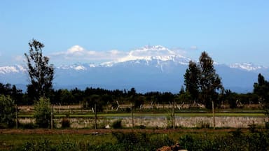 Más de 400 sismos en el volcán Longaví: qué significa y qué riesgos tiene, según un geofísico