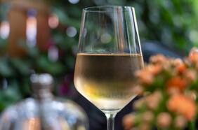Vinos: 16 sauvignon blanc para refrescar la primavera