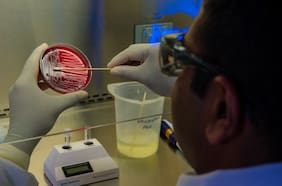 Qué es la bacteria Ralstonia picketti que infectó a casi 30 personas por el uso de un fármaco en hospitales