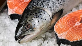 Un ensayo clínico de dos años revela si tomar omega 3 logra prevenir el Alzheimer