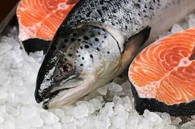 Un ensayo clínico de dos años revela si tomar omega 3 logra prevenir el Alzheimer