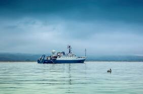 Columna de Carlos Jerez: “El capital de los datos marítimos en Chile”