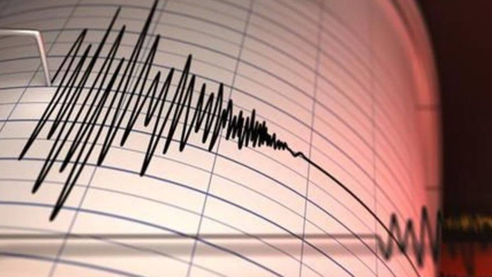 SHOA descarta posible tsunami para las costas de Chile tras terremoto 7,1 en Japón