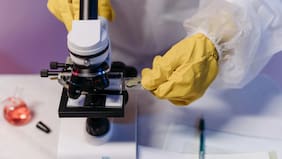 Qué se sabe de los bots de IA que revelaron a los científicos cómo fabricar armas biológicas