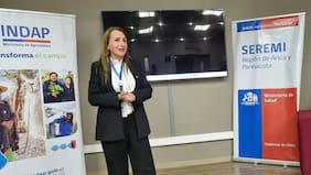 Minsal solicita la renuncia a Seremi de Salud de Arica, Karla Kepec, tras filtración de exigencias para un cupo laboral