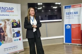 Minsal solicita la renuncia a Seremi de Salud de Arica, Karla Kepec, tras filtración de exigencias para un cupo laboral