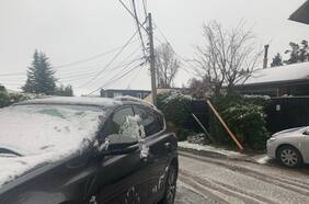Senapred: conoce las recomendaciones para enfrentar una nevada