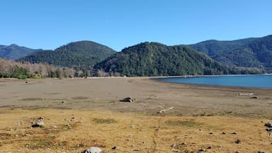 Lago Caburgua presenta preocupante retroceso de sus aguas: registra un descenso de 200 metros en la playa