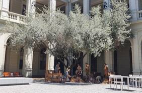 Árboles patrimoniales de ciudades y pueblos: Conaf presenta los 57 ejemplares que están en la historia y recuerdo de Chile