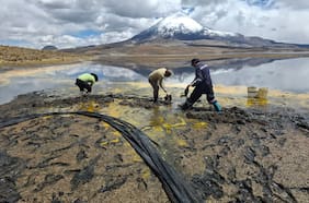 Retiran cerca de 6 mil litros de aceite desde el lago Chungará tras derrame que afecta a aves y fauna endémica