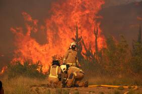 Incendios forestales: Senapred declara alerta roja en las comunas de Lumaco y Linares, las cuales se suman a Quirihue