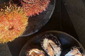 Crítica gastronómica de Don Tinto: Food and Wine Studio, a otro nivel