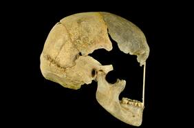 Así era el rostro de una de las primeras mujeres conocidas de la historia: revisa las fotos de su cara