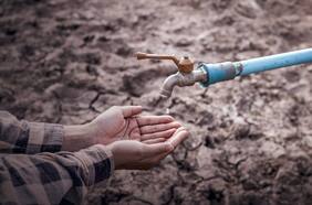 Emprendimiento mexicano obtiene el primer lugar del Softys Water Challenge