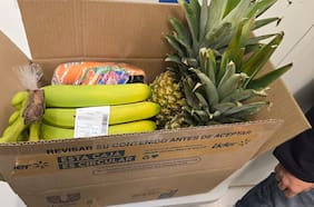 Cajas reutilizables: Walmart Chile acelera su estrategia de packaging sostenible y prevé evitar más de 660 mil bolsas al 2025