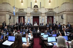 Otro triunfo para Milei: Senado de Argentina aprueba reforma a ley de glaciares que destraba inversiones mineras