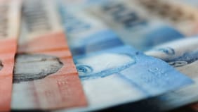 La columna de Javier Salinas: “La cigarra en la que nos estamos convirtiendo”