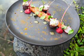 Tiradito de salmón con rabanitos