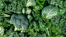Cómo la flora intestinal potencia los beneficios de las verduras para la salud, según una investigación