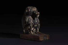 “País de Dios”: momias de babuinos serían la clave para encontrar una tierra perdida