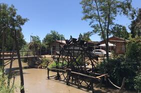 Las ruedas que llevan agua e historia en Larmahue