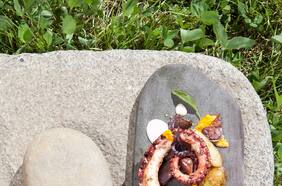 Pulpo salteado al chimichurri sobre trilogía de papas nativas